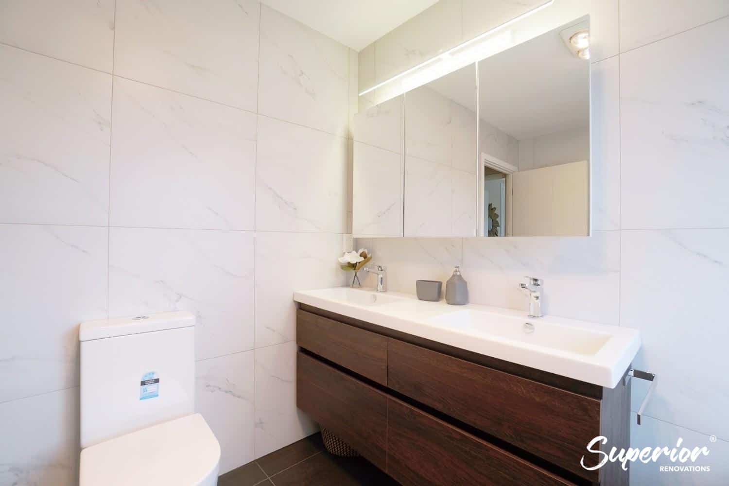 DSC00286-1 Modern Bathroom Renovation With a Dark Colour palette in North Shore, Auckland