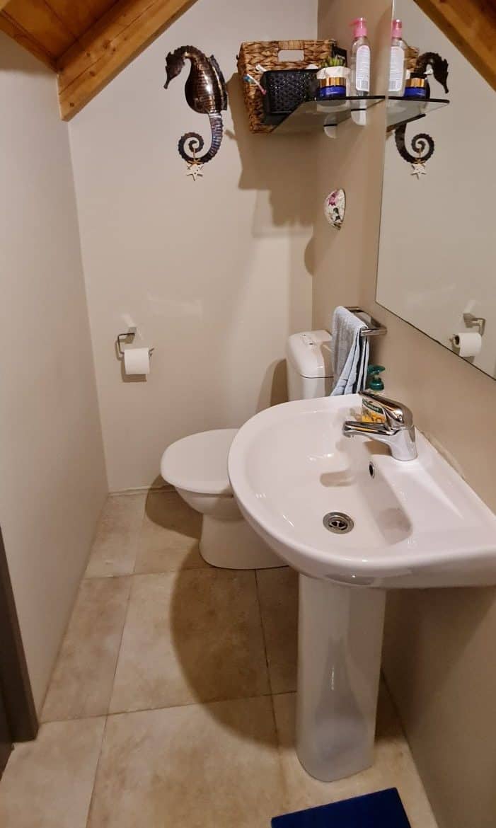 20210308_103814-e1660865178202 Contemporary Kitchen and Bathroom renovation in Henderson Valley