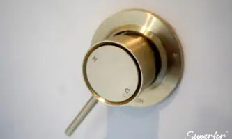 DSC04935-333x200 Classic Contemporary Bathroom renovation with Gold and Wooden finishes in Massey