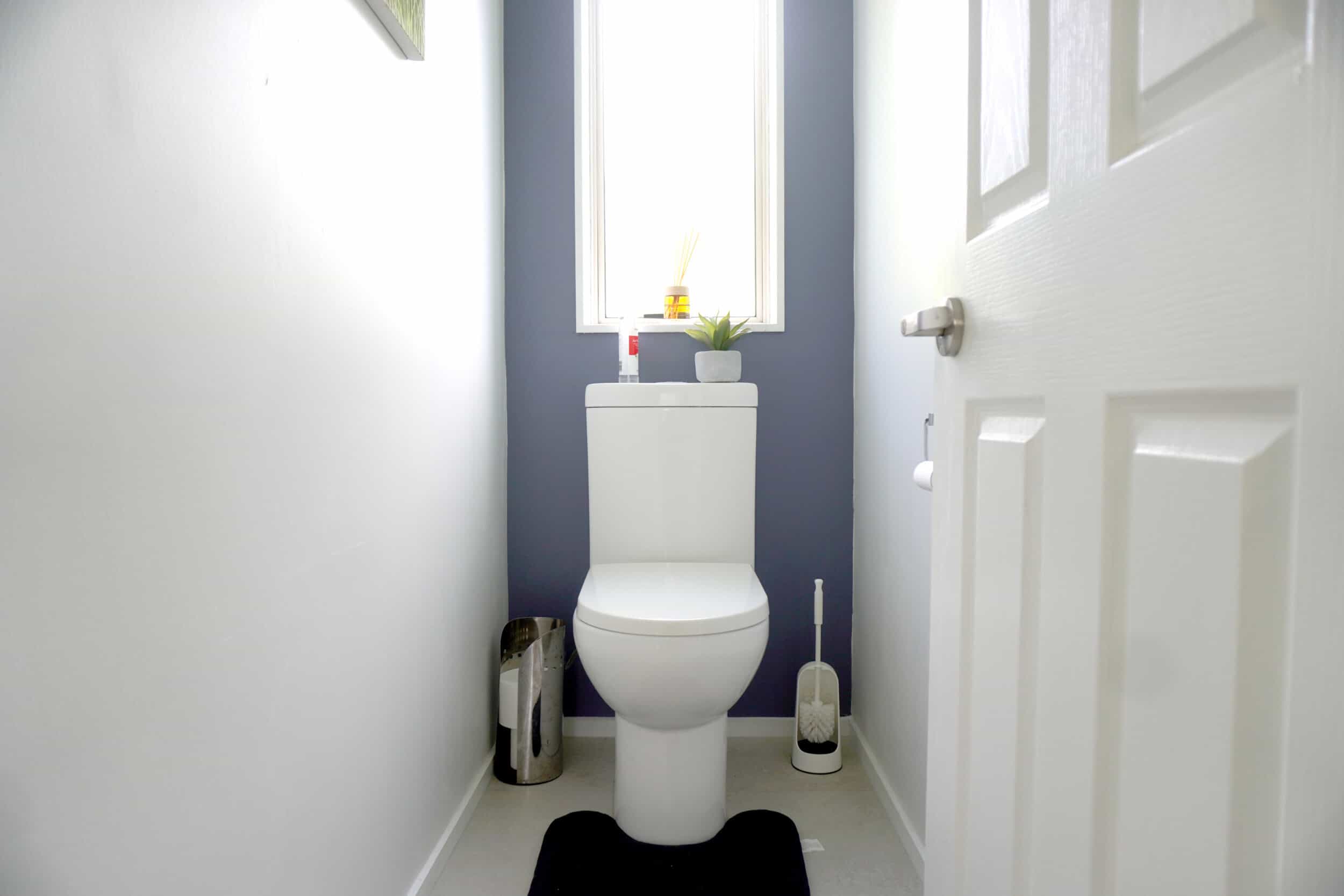 DSC05332 Cost to Install a New Toilet in Auckland: 2026 Guide