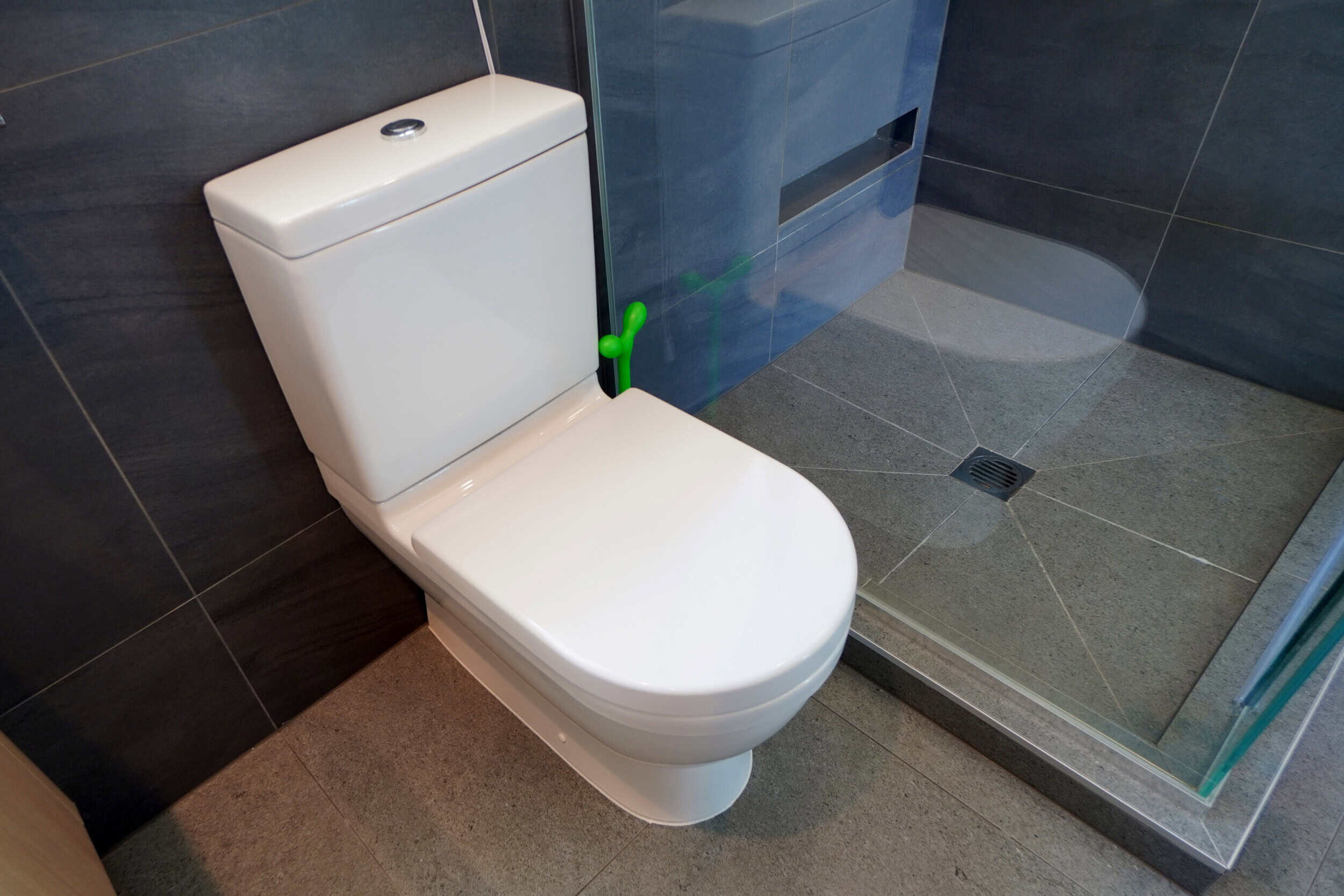 Luxury-Bathroom-Design-Redvale-31 Cost to Install a New Toilet in Auckland: 2026 Guide