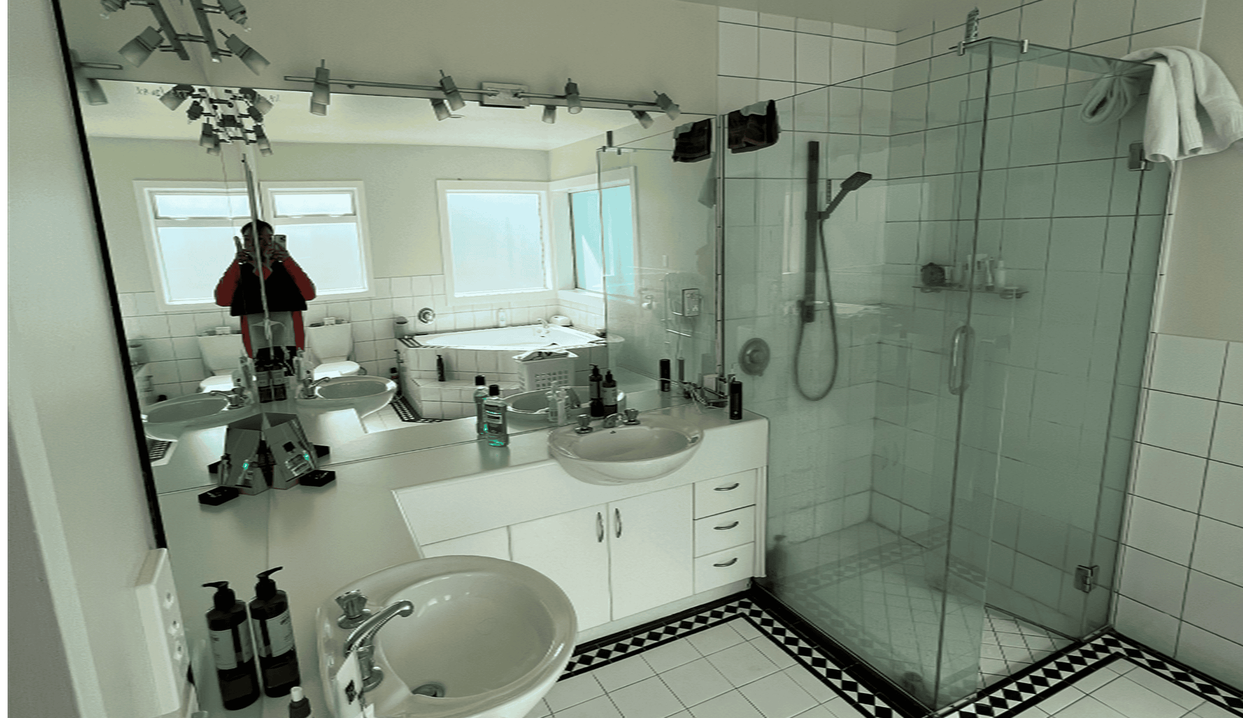 Fina-before-1-2 Serenity in Grey: A Case Study on Redesigning a Luxe Contemporary Bathroom