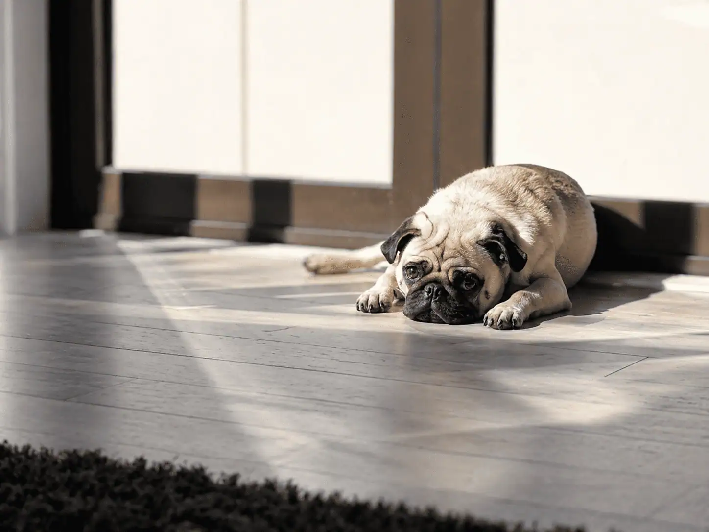 Apr 29 2026 10 39 06 PM - Superior Renovations