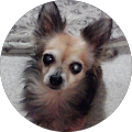 03202d2b54ad74146d7249647ab6c769 Online Reviews - Google + Facebook for Superior Renovations
