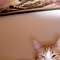 b5e9bad1d0f9a3e1c062f4ef7767b3e1 Online Reviews - Google + Facebook for Superior Renovations