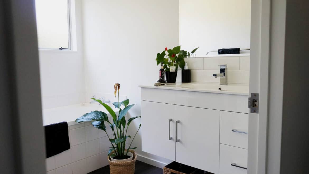 Renovated bathroom with a white vanity, a wall-mounted mixer and a potted plant