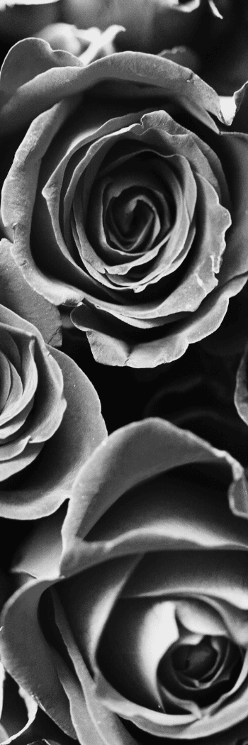 Sensual close-up of a couple, representing the emotional and physical connection that inspired Holly’s journey into intimacy coaching.