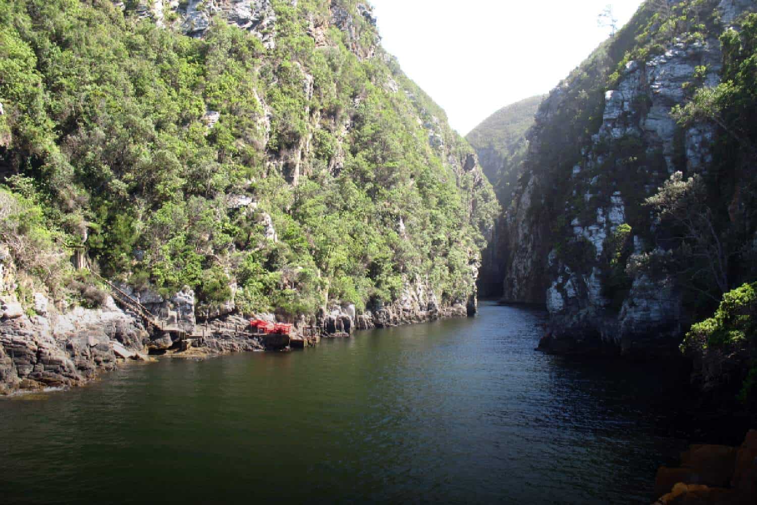 Eastern Cape travel guide Tsitsikamma national park