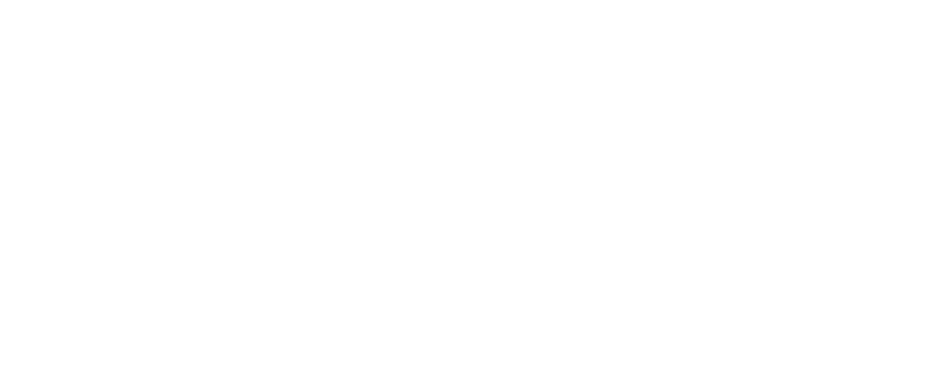 Logo Switzerland Wedding Film
