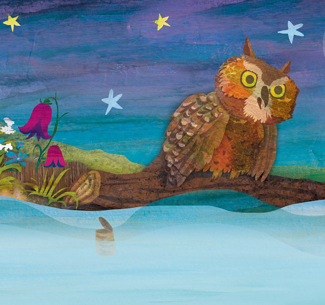 A FOLYÓ ÉS A BAGOLY