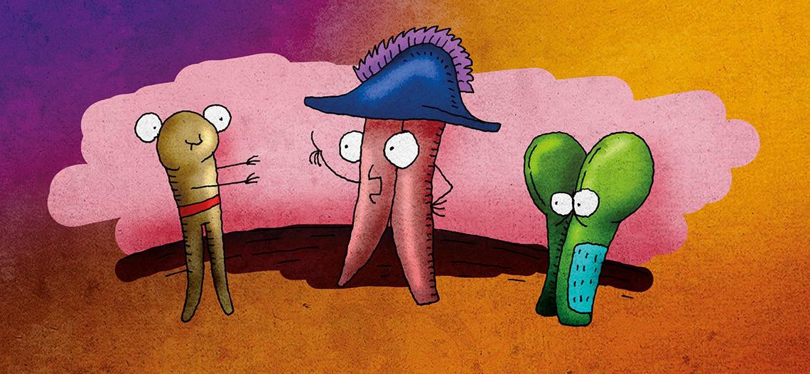 CSIPESZ FITTYFIRITTY