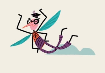 EGY SZÚNYOG KALANDJAI