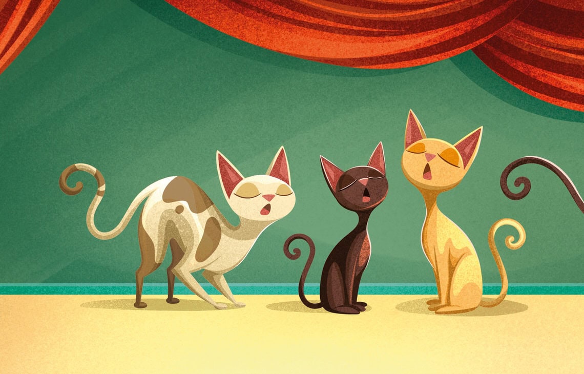 A KIRÁLYFI MACSKÁI