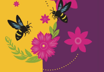 A SZAPORODÁS SZERVE