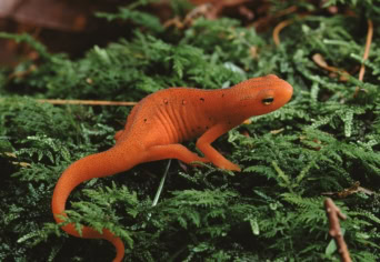 AKIK TÉNYLEG SOKAT VÁLTOZNAK