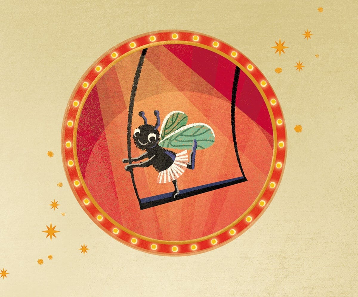 CIRKUSZI MERENGÉSEK