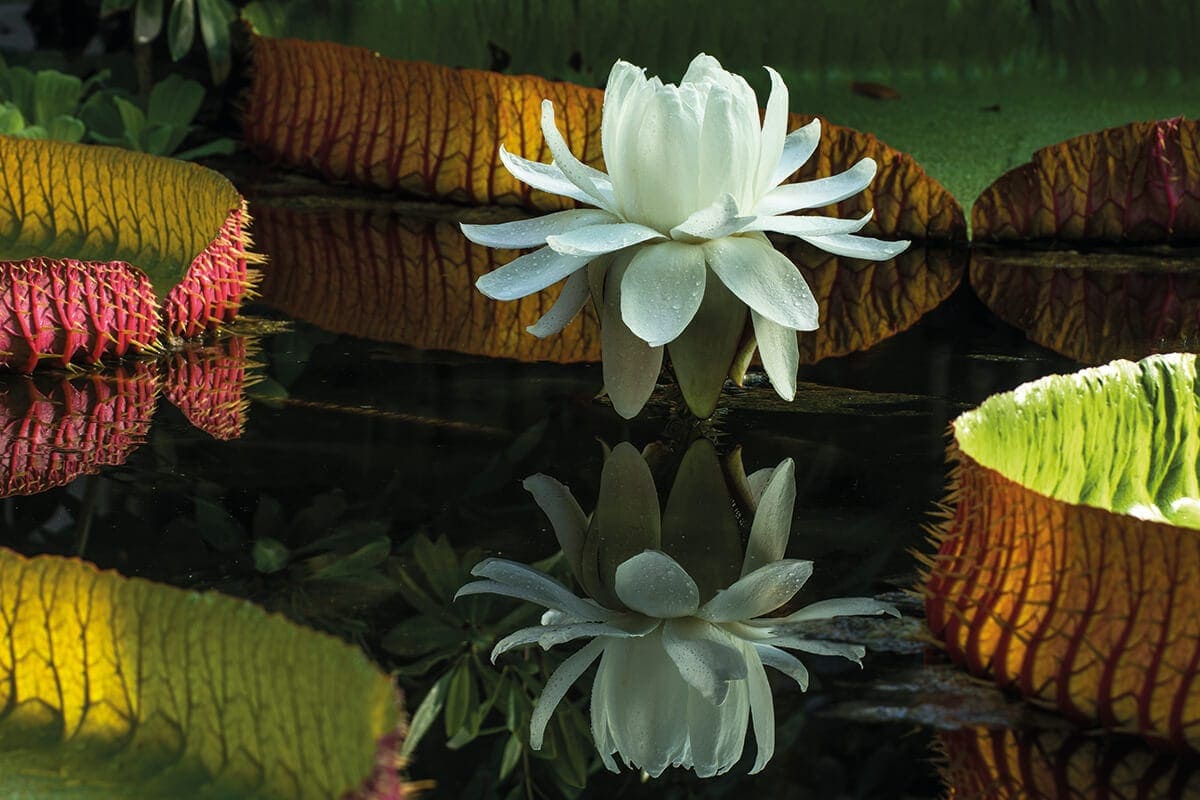 TITKOS KERT A FŐVÁROSBAN