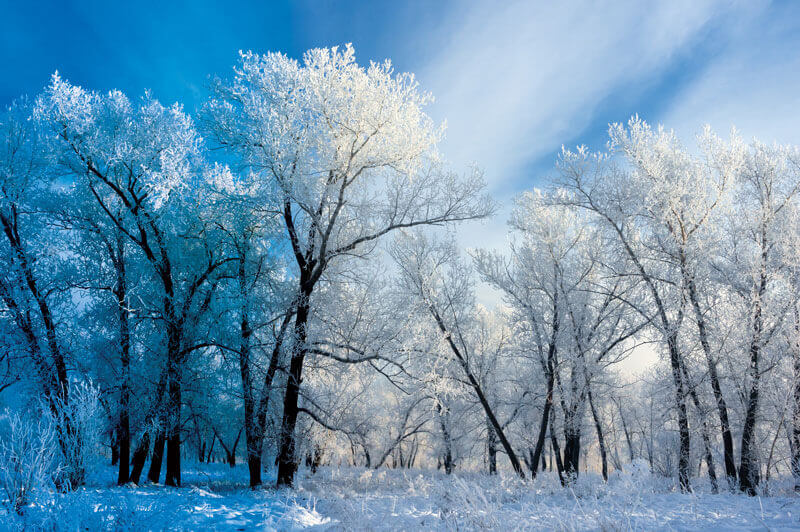 TELE VAN AZ ERDŐ HÓVAL