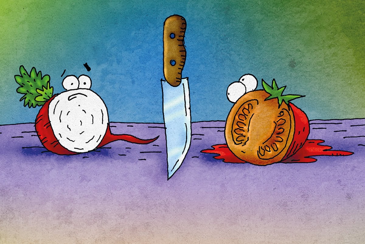 PARADICSOM ÉS RETEK