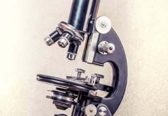 SZEDJÜK SZÉT! NÉZZÜNK BELE!