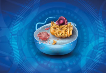 A MAJDNEM MINDENT TUDÓ SEJTMAGOK