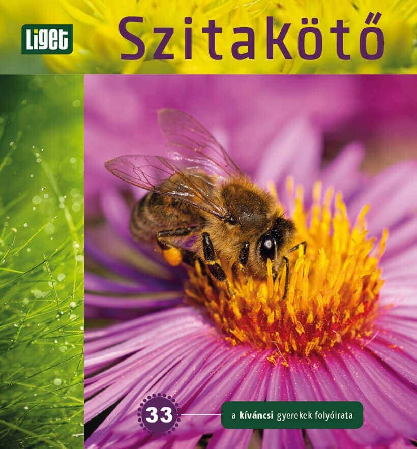 A TAVASZI SZÁM TARTALMA