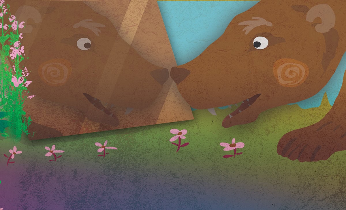 GRIZZLY A KEREKERDŐBEN