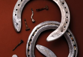 A PATKÓSZEG ÉS A TÖRTÉNELEM