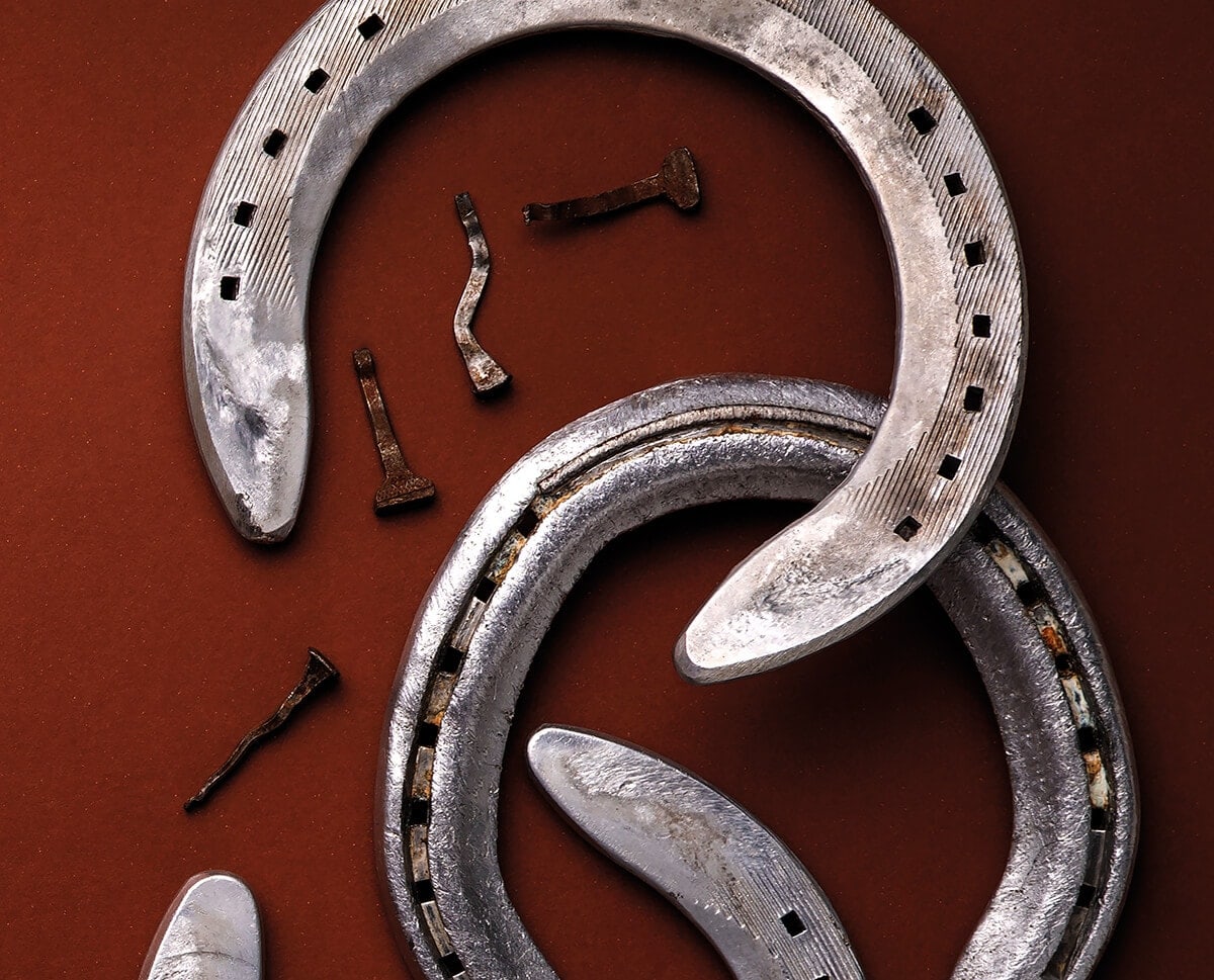 A PATKÓSZEG ÉS A TÖRTÉNELEM