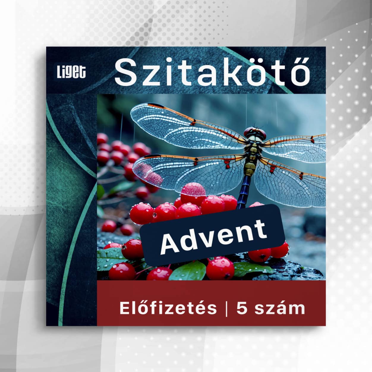 Adventi Szitakötő előfizetés