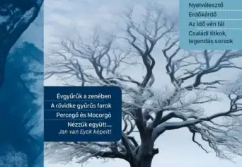 Új oldalon repül a Szitakötő