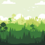 The forest: Óravázlat