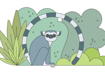 Feladatlap: A rövidke gyűrűs farok