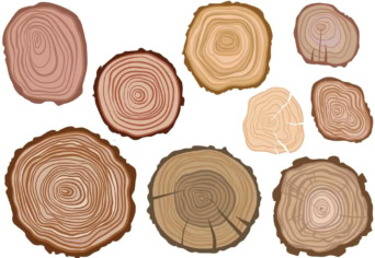 Évgyűrűk és fizika