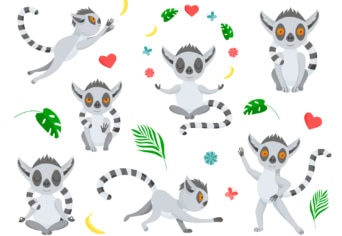 Óraterv: A rövidke gyűrűs farok