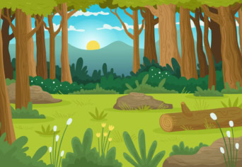 Erdő sok szemszögből: feladatsor