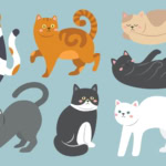 Lujza és a váratlan vendég: Vizuális kultúra óravázlat