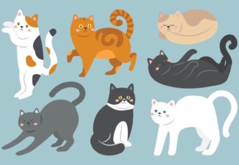 Lujza és a váratlan vendég: Vizuális kultúra óravázlat