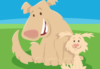 Hogyan gondozzák utódaikat az állatok? És a növények??