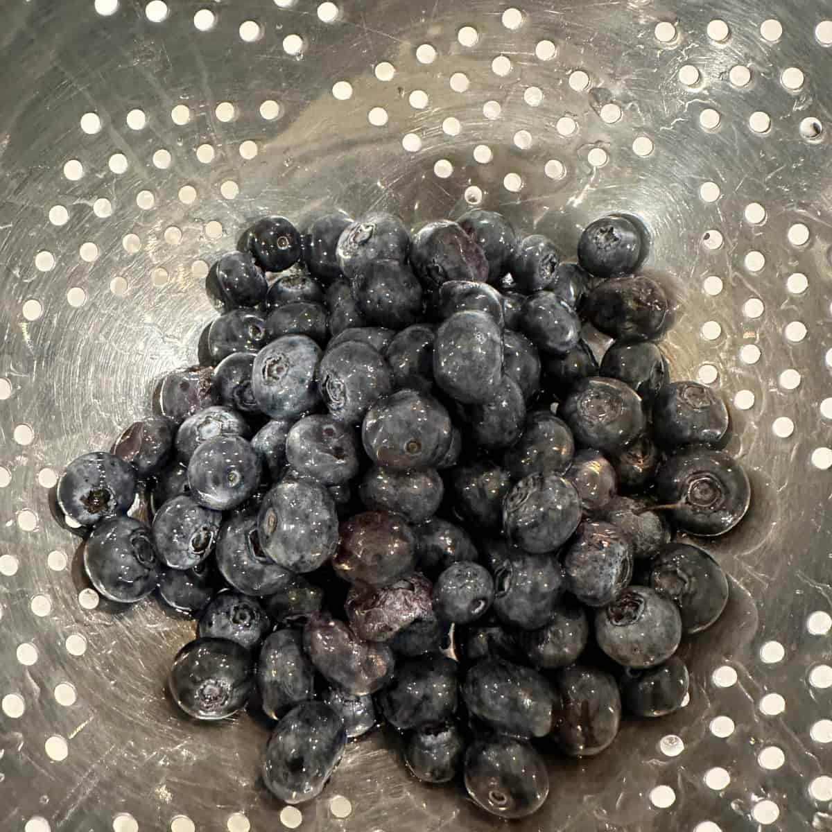 fresh blueberries in a colander