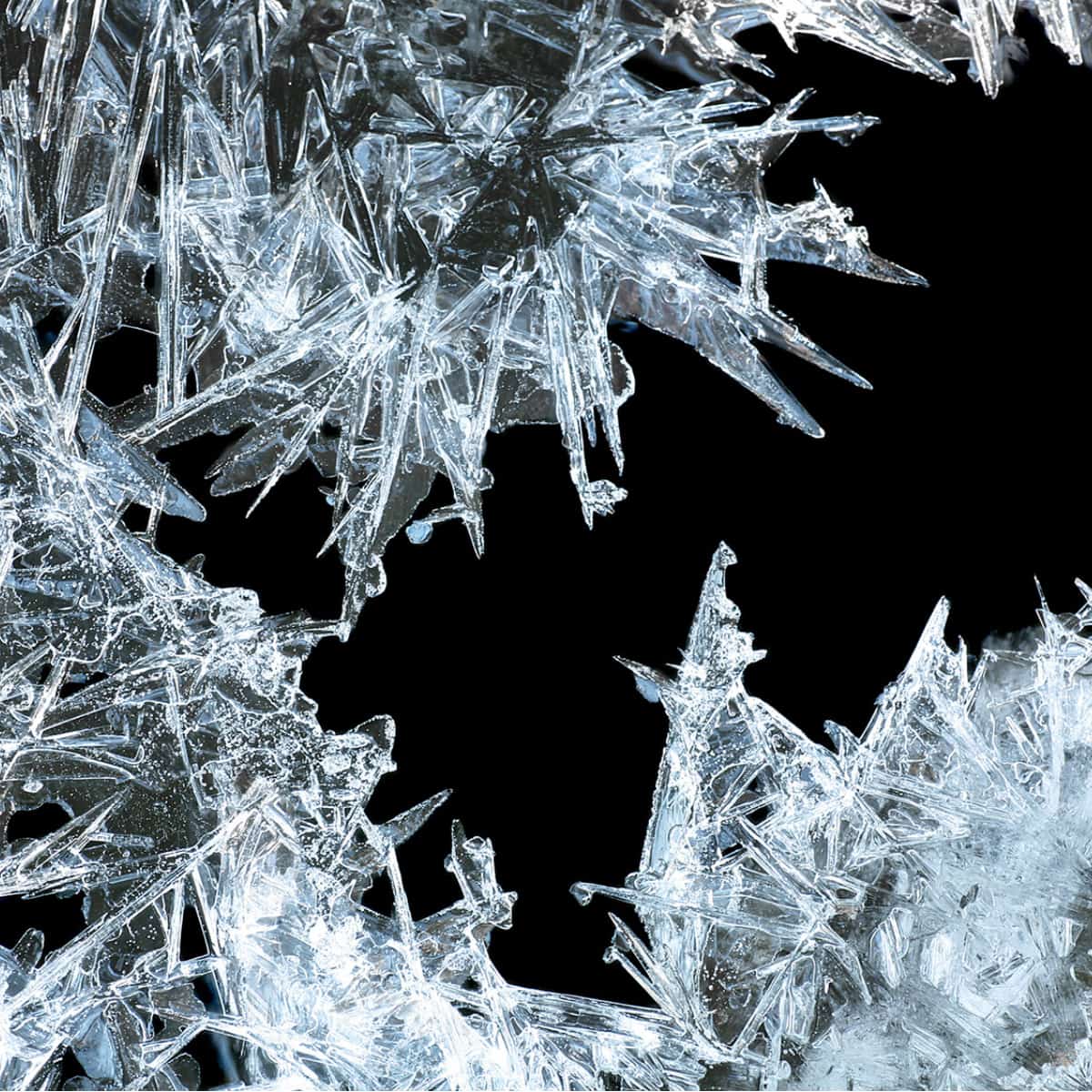 Magnified ice crystal