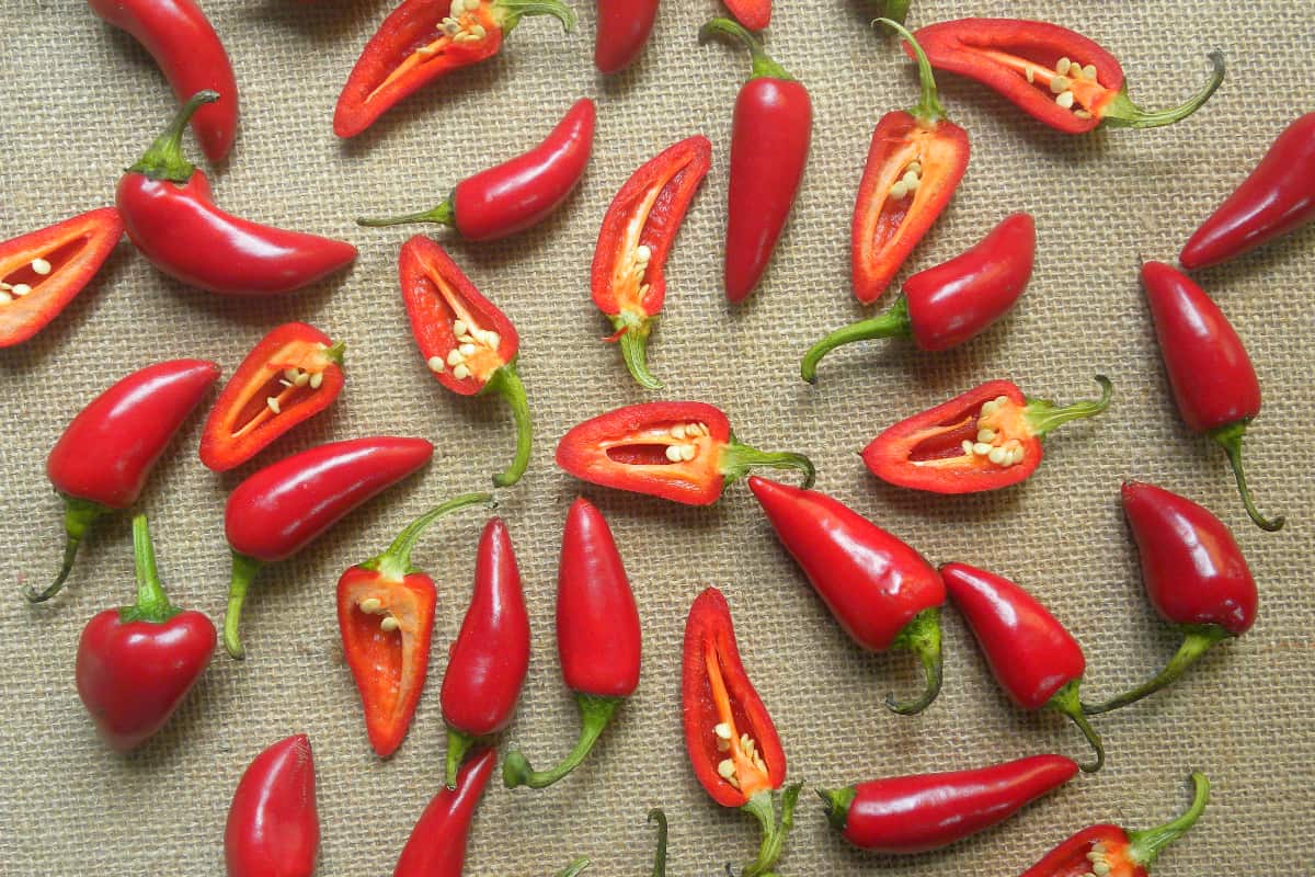 fresno peppers, some sliced with seeds showing