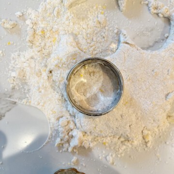 cutting out biscuit shapes with 3" cutter