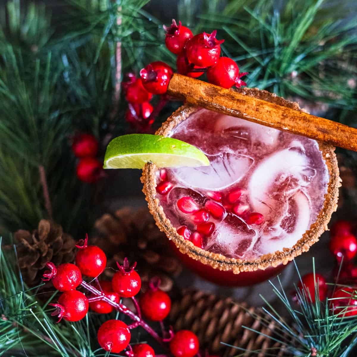 Pomegranate Margarita garnished with lime wedge and a cinnamon stick 