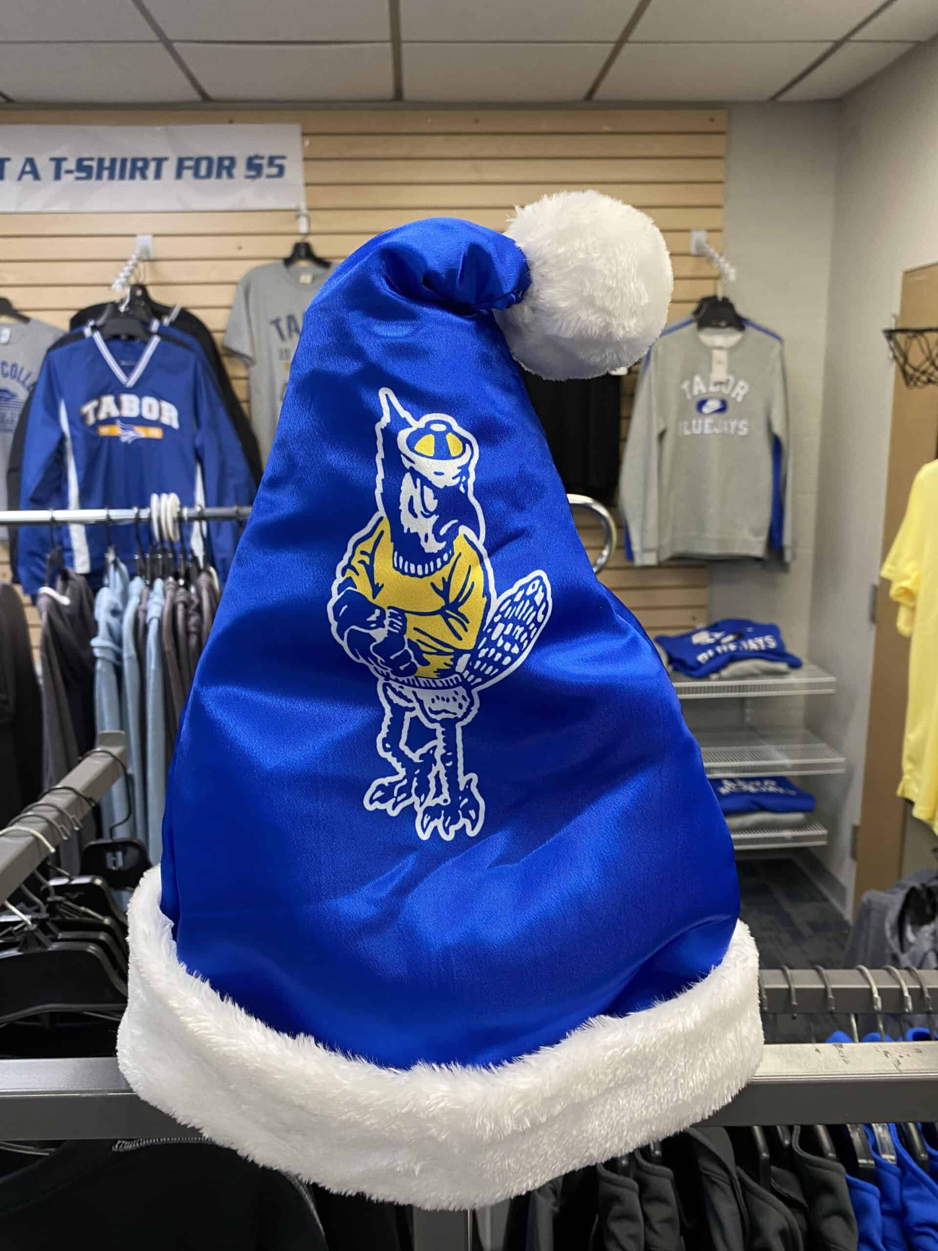 Santa Hat