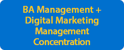 A banner of program descriptions for online undergraduates