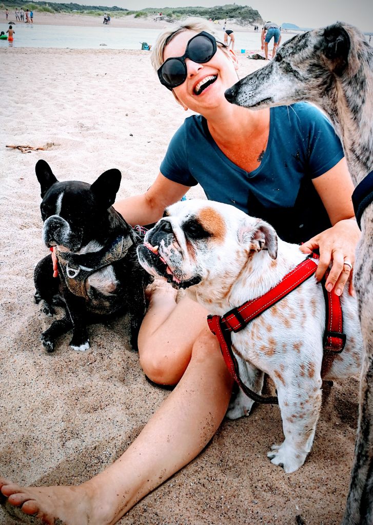 kamperen met 3 honden