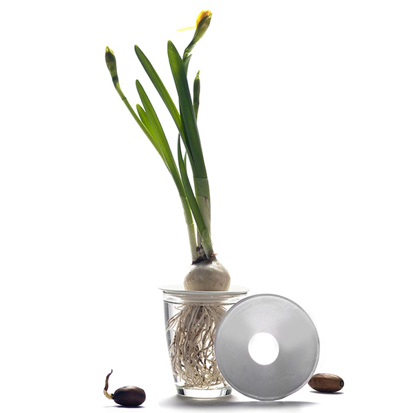 Botanopia Sprout Large porseleinen kiemschaaltje