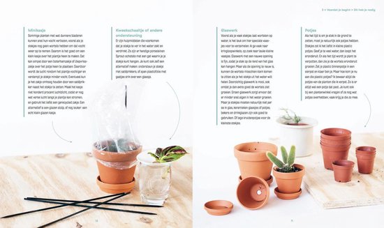 Stek je Plant - Mama Botanica Iris Van Vliet - boek, Nederlandstalig - Afbeelding 6