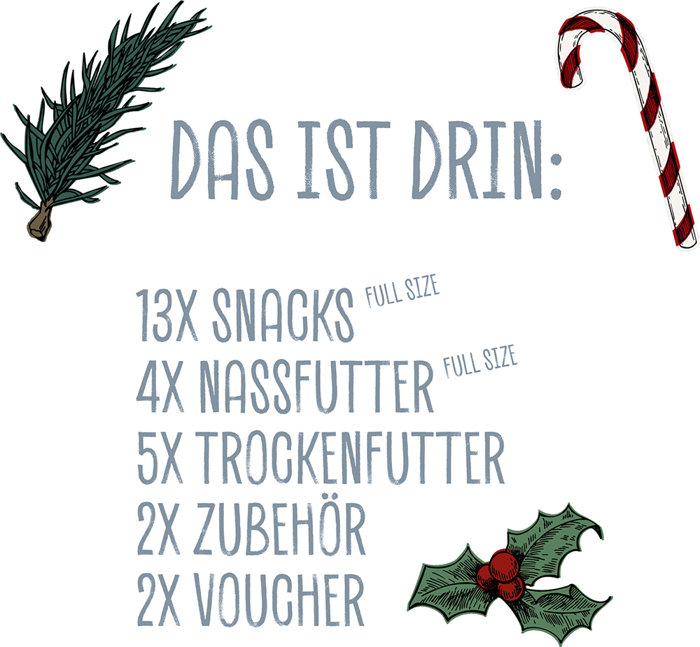 vegdog adventskalender vegan adventskalender voor de hond